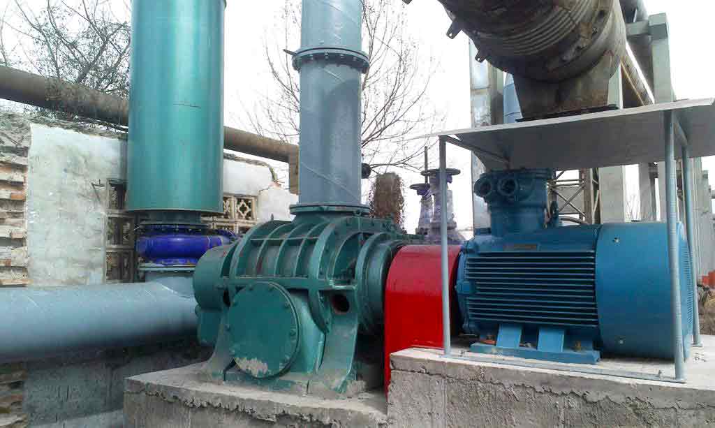 <b>電廠用羅茨鼓黄瓜TV免费视频案例</b>