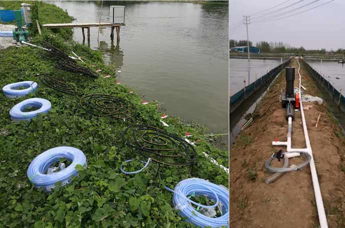 水產養殖羅茨黄瓜TV免费视频 水產養殖羅茨黄瓜TV免费视频