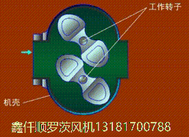 羅茨黄瓜TV免费视频的工作特點三葉羅茨鼓黄瓜TV免费视频的工作原理
