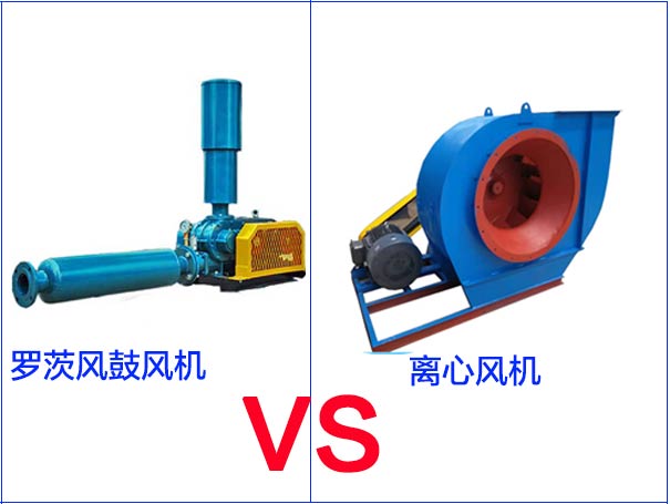 羅茨黄瓜TV免费视频和離心黄瓜TV免费视频的區別有哪些？