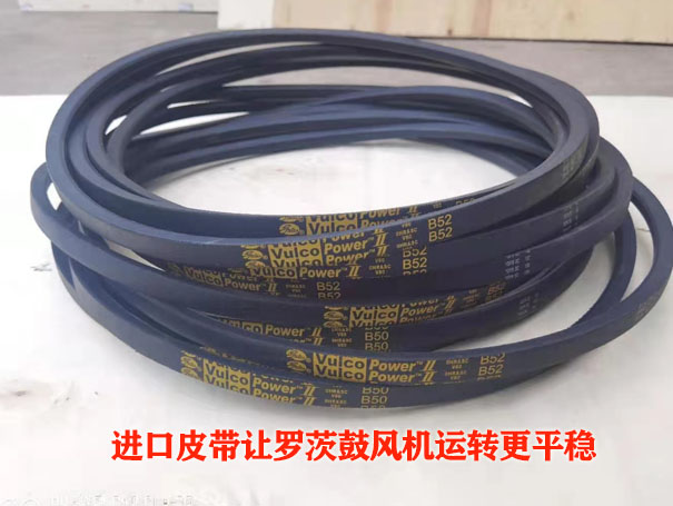羅茨黄瓜TV免费视频皮帶