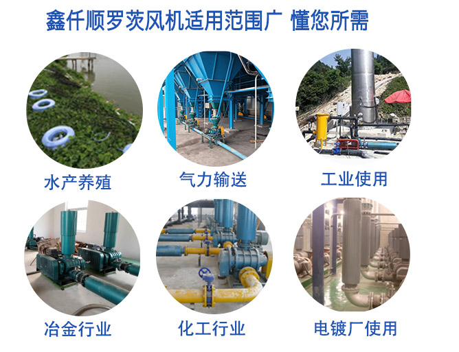羅茨鼓黄瓜TV免费视频 羅茨鼓黄瓜TV免费视频