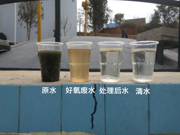 汙水曝氣羅茨鼓黄瓜TV免费视频應用案例 汙水曝氣羅茨鼓黄瓜TV免费视频應用案例