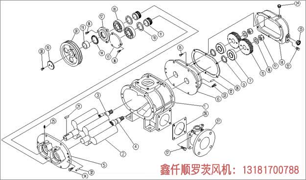 三葉羅茨鼓黄瓜TV免费视频安裝示意圖
