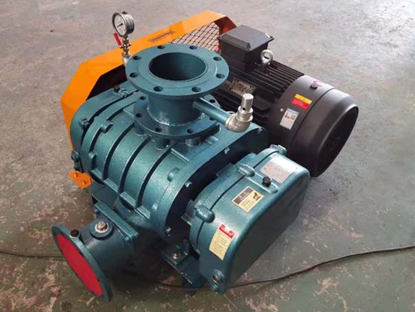羅茨真空泵 羅茨黄瓜TV免费视频廠家發貨江西羅茨真空泵XQSSR125v5台(圖1)